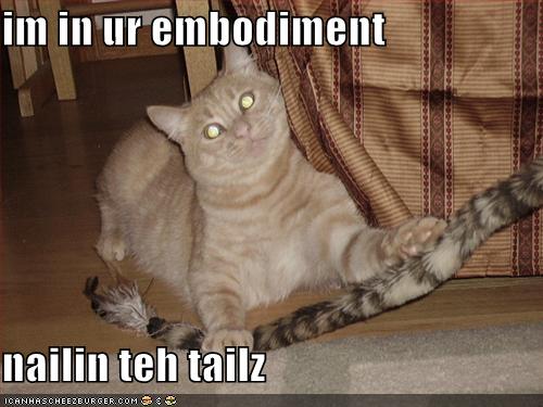Nerrcat Sez